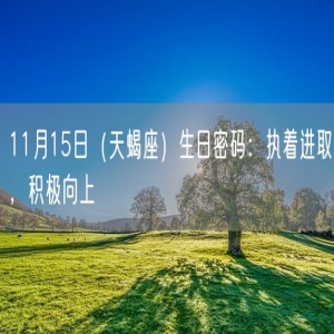 11月15日（天蝎座）生日密码：执着进取，积极向上