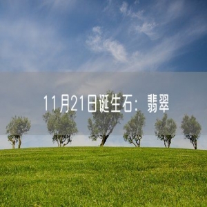 11月21日诞生石：翡翠