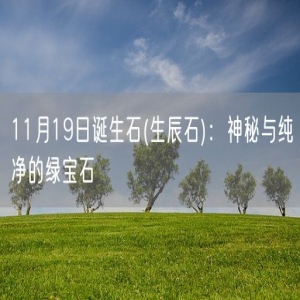 11月19日诞生石(生辰石)：神秘与纯净的绿宝石