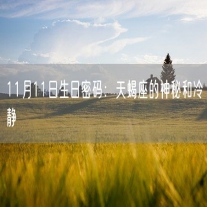 11月11日生日密码：天蝎座的神秘和冷静