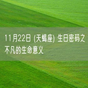 11月22日 (天蝎座) 生日密码之不凡的生命意义