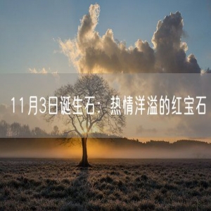 11月3日诞生石：热情洋溢的红宝石