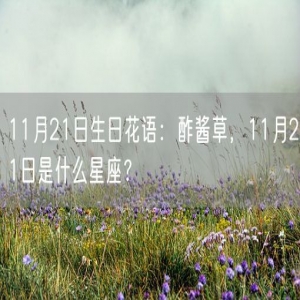 11月21日生日花语：酢酱草，11月21日是什么星座？