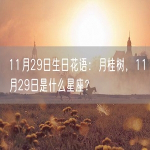 11月29日生日花语：月桂树，11月29日是什么星座？