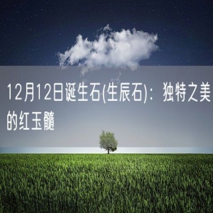 12月12日诞生石(生辰石)：独特之美的红玉髓