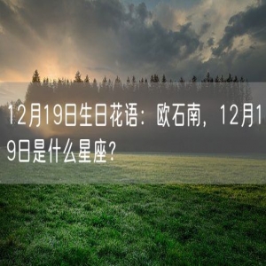 12月19日生日花语：欧石南，12月19日是什么星座？