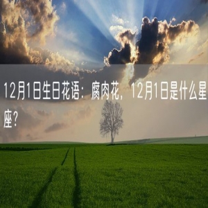 12月1日生日花语：腐肉花，12月1日是什么星座？