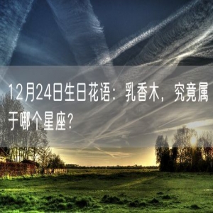 12月24日生日花语：乳香木，究竟属于哪个星座？