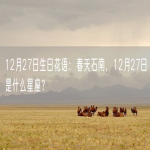 12月27日生日花语：春天石南，12月27日是什么星座？