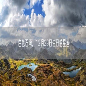 白色石南，12月29日生日的星座