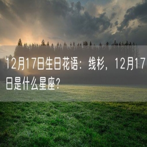12月17日生日花语：线杉，12月17日是什么星座？