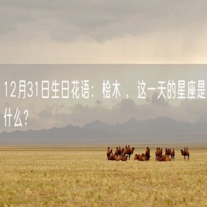 12月31日生日花语：桧木 ，这一天的星座是什么？