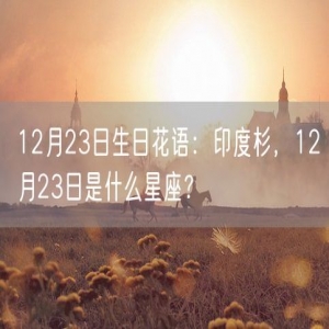 12月23日生日花语：印度杉，12月23日是什么星座？