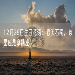 12月28日生日花语：春天石南，该星座是摩羯座