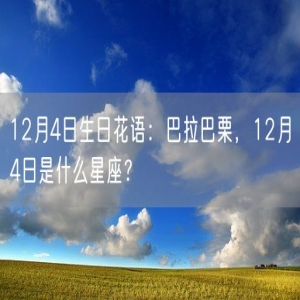 12月4日生日花语：巴拉巴栗，12月4日是什么星座？