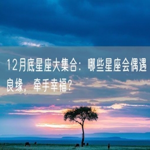 12月底星座大集合：哪些星座会偶遇良缘，牵手幸福？