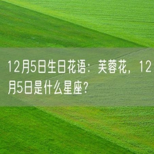 12月5日生日花语：芙蓉花，12月5日是什么星座？