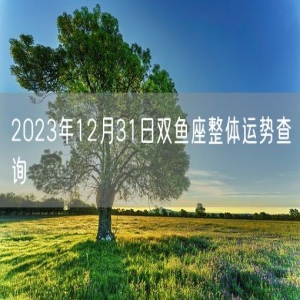 2023年12月31日双鱼座整体运势查询