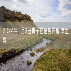 2024年1月2日狮子座运势详解,幸运数