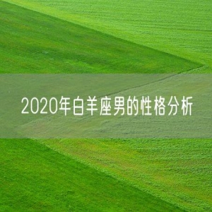 2020年白羊座男的性格分析