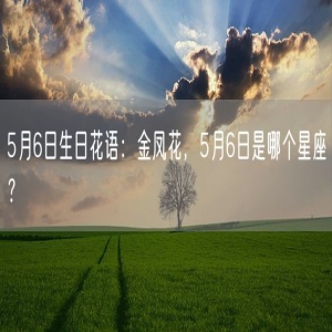 5月6日生日花语：金凤花，5月6日是哪个星座？