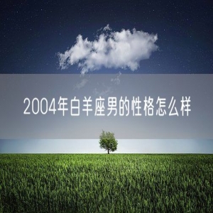 2004年白羊座男的性格怎么样