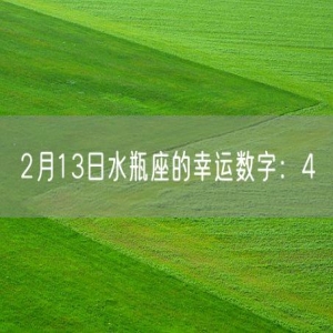 2月13日水瓶座的幸运数字：4