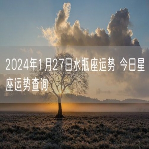 2024年1月27日水瓶座运势 今日星座运势查询