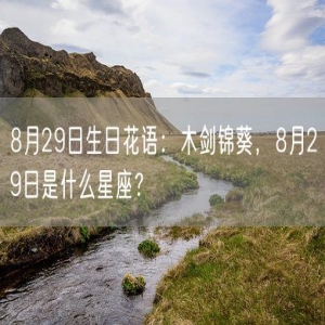 8月29日生日花语：木剑锦葵，8月29日是什么星座？