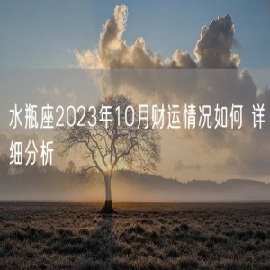 水瓶座2023年10月财运情况如何 详细分析