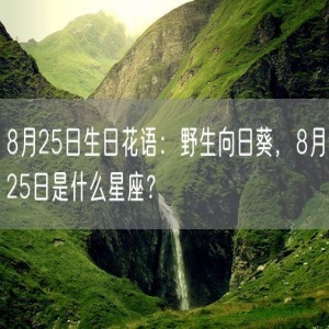 8月25日生日花语：野生向日葵，8月25日是什么星座？
