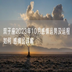 双子座2023年10月感情运势及运程如何 感情运详解