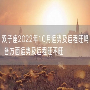 双子座2022年10月运势及运程旺吗 各方面运势及运程旺不旺