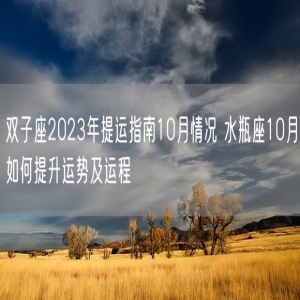 双子座2023年提运指南10月情况 水瓶座10月如何提升运势及运程