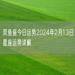 双鱼座今日运势2024年2月13日星座运势详解