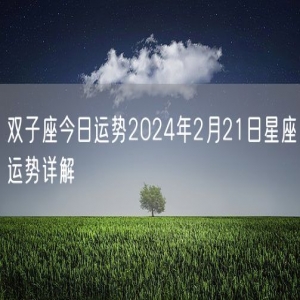 双子座今日运势2024年2月21日星座运势详解