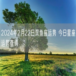 2024年2月22日双鱼座运势 今日星座运势查询