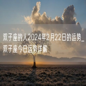 双子座的人2024年2月22日的运势_双子座今日运势详解