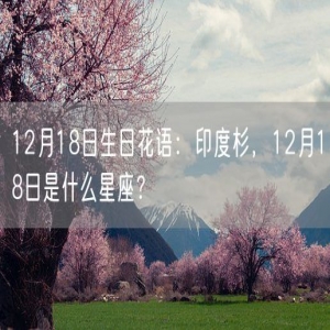 12月18日生日花语：印度杉，12月18日是什么星座？