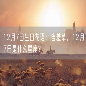 12月7日生日花语：含羞草，12月7日是什么星座？