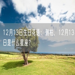 12月13日生日花语：侧柏，12月13日是什么星座？