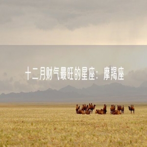 十二月财气最旺的星座：摩羯座