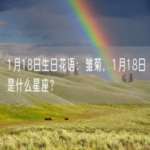 1月18日生日花语：雏菊，1月18日是什么星座？