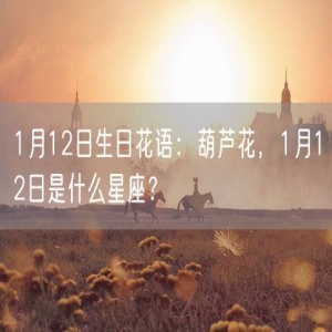 1月12日生日花语：葫芦花，1月12日是什么星座？