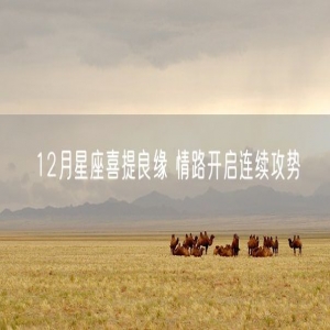 12月星座喜提良缘 情路开启连续攻势