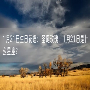 1月21日生日花语：圣诞玫瑰，1月21日是什么星座？