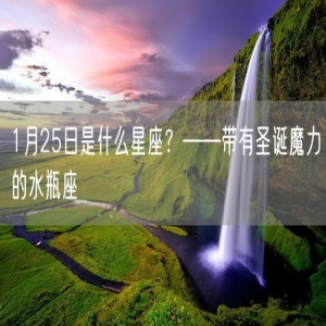 1月25日是什么星座？——带有圣诞魔力的水瓶座