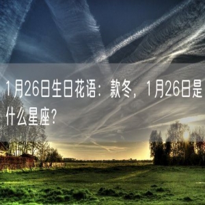 1月26日生日花语：款冬，1月26日是什么星座？