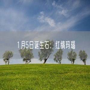 1月5日诞生石：红缟玛瑙