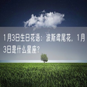 1月3日生日花语：波斯鸢尾花，1月3日是什么星座？